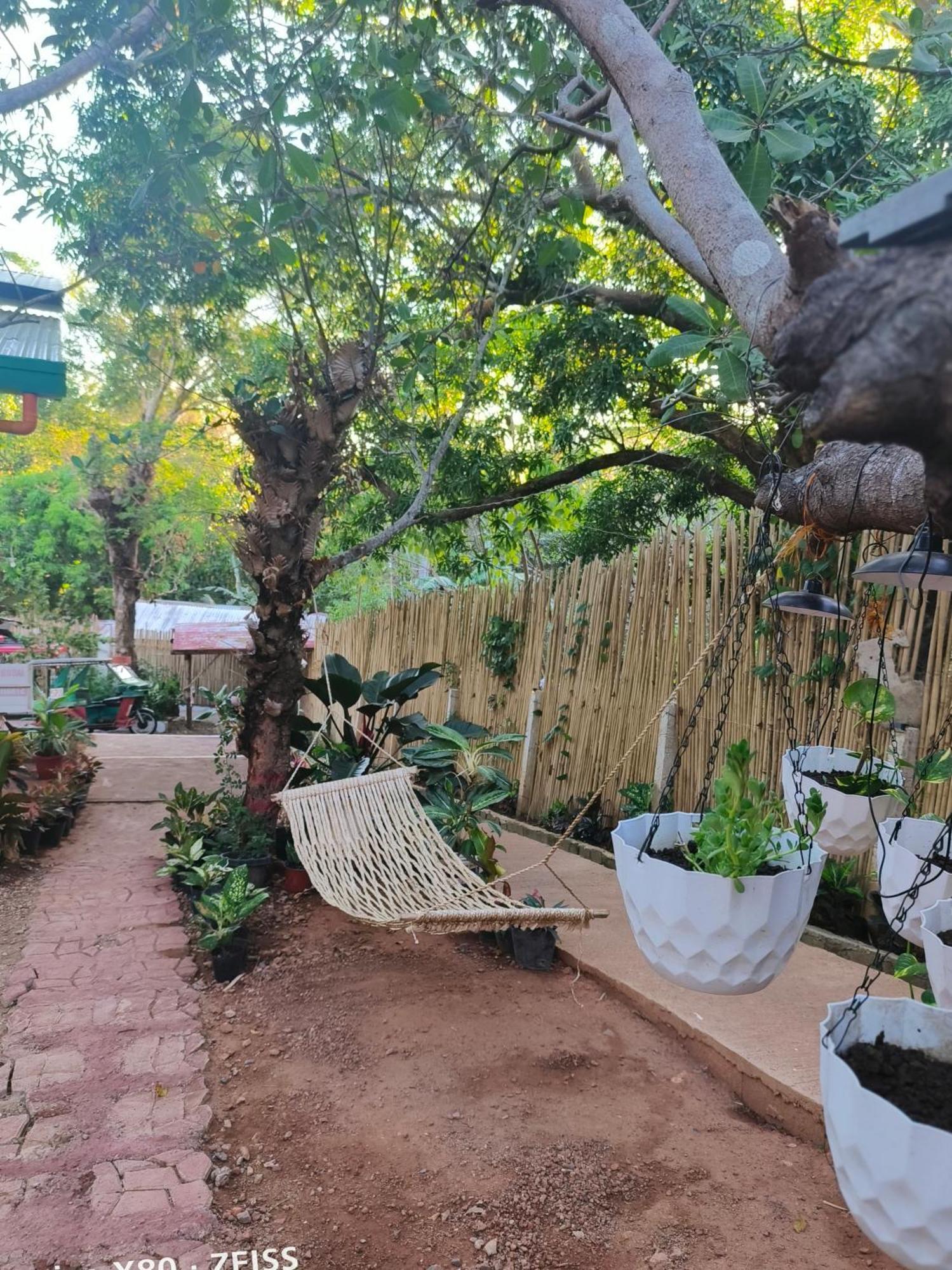 קורון Ani Marie Guest House מראה חיצוני תמונה